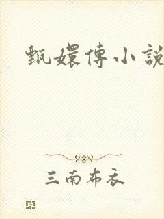 甄嬛传小说封面