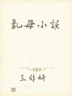乱母小说