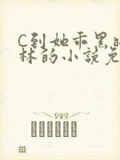 C到她乖黑暗森林的小说免费