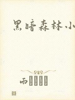 黑暗森林小说