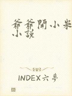 爷爷开小米的包小说