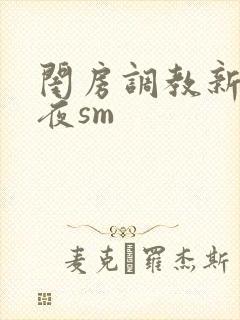 闺房调教新婚之夜sm封面