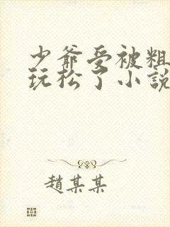 少爷受被粗汉H玩松了小说