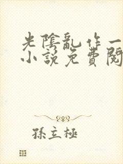 光阴乱作一团的小说免费阅读