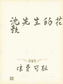 沈先生的花式管教