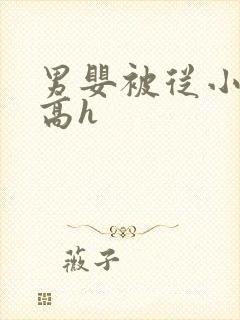 男婴被从小调教高h封面