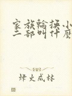家族轮换小说第二部叫什么名字