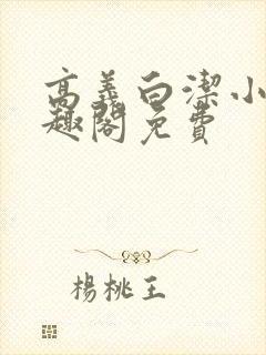 高义白洁小说笔趣阁免费