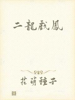 二龙戏凤