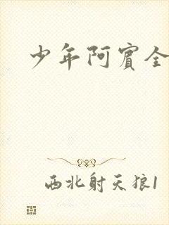 少年阿宾全文