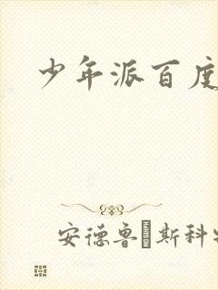 少年派百度百科