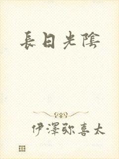 长日光阴封面