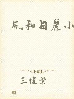 风和日丽小说封面