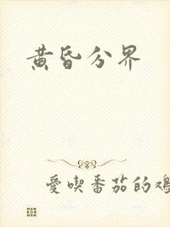 黄昏分界封面