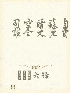 司空靖苏月汐小说全文免费阅读封面