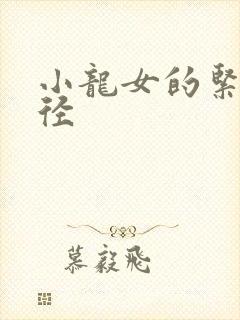 小龙女的紧致花径封面