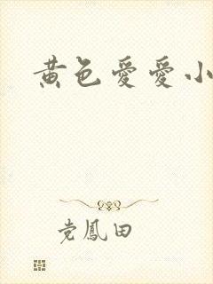 黄色爱爱小说