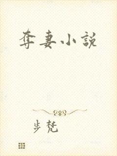 夺妻小说封面
