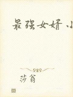 最强女婿 小说