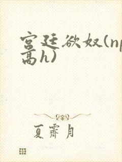 宫廷欲奴(np高h)