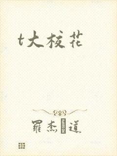 t大校花