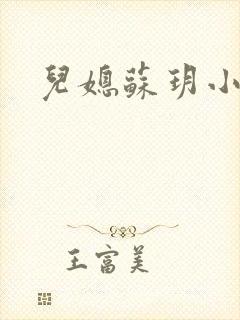 儿媳苏玥小说封面