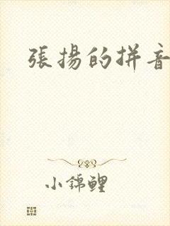 张扬的拼音封面