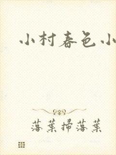 小村春色小说
