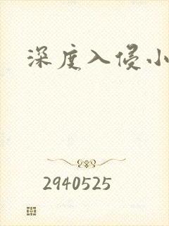 深度入侵小说