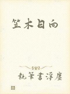 笠木日向封面