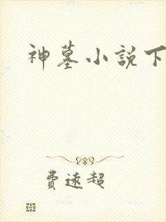 神墓小说下载