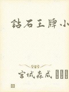 钻石王牌小说