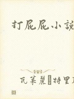 打屁屁小说封面