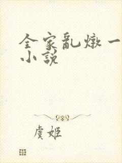全家乱炖一锅烩小说封面