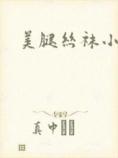 美腿丝袜小说
