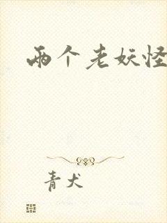 两个老妖怪封面