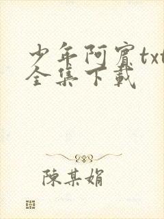 少年阿宾txt全集下载