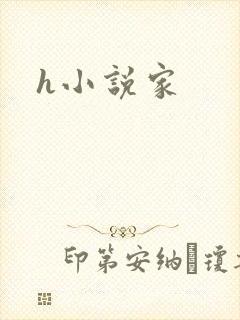 h小说家