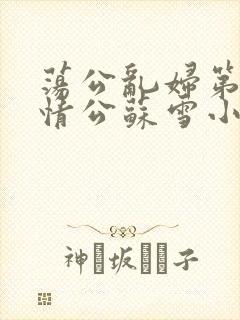 荡公乱妇第1章情公苏雪小说