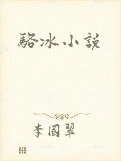 骆冰小说封面