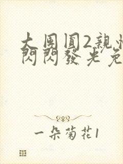 大团圆2亲情会闪闪发光免费