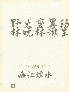 野火变异的父爱林晚林潮生