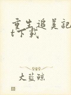 重生追美记txt下载封面