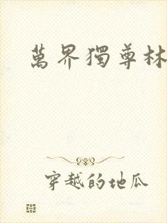 万界独尊林枫