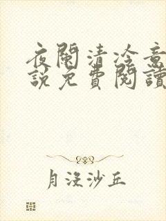 夜阑清冷意欢小说免费阅读封面