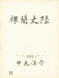 裸兰大陆封面