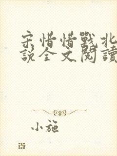 宋惜惜战北望小说全文阅读