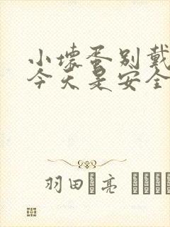 小坏蛋别戴套了今天是安全期封面