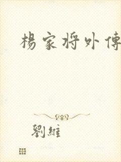 杨家将外传