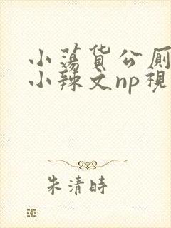 小荡货公厕h文小辣文np视频封面